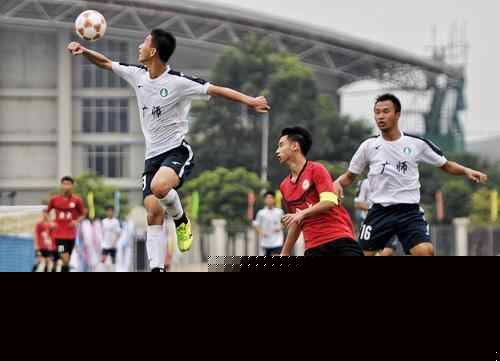 多样性报告发布